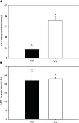 Short-term water stress responses of grafted pepper plants are associated with changes in the hormonal balance
